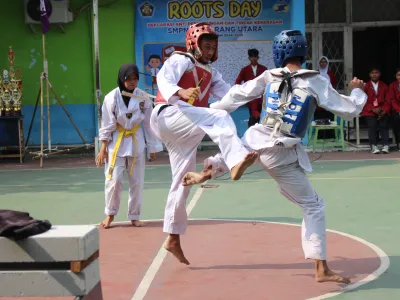 Taekwondo
