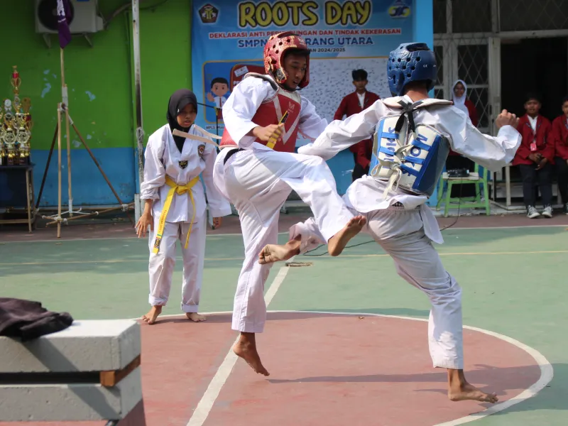 Taekwondo